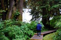 The boardwalks go right into the spray from the falls.