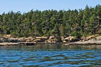 Once through the channel and the little kelp bed marking its end, this is the view you will have over the stern.