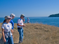 Decatur vista lookng toward Lopez Pass.