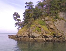 Northwest tip of Matia Island forming part of Rolfe Cove