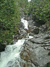Dingford Creek Falls